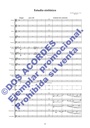 SYMPHONISCHE-STUDIE-_001.jpg