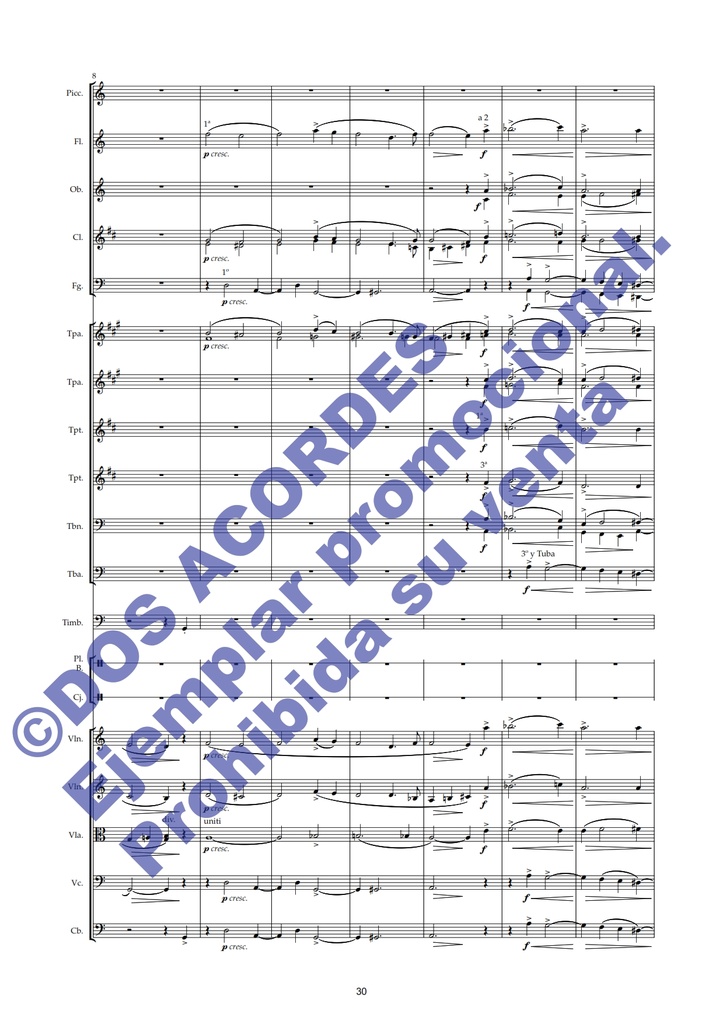 SYMPHONISCHE-STUDIE-_002.jpg