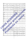 SYMPHONISCHE-STUDIE-_004.jpg