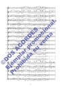 SYMPHONISCHE-STUDIE-_003.jpg